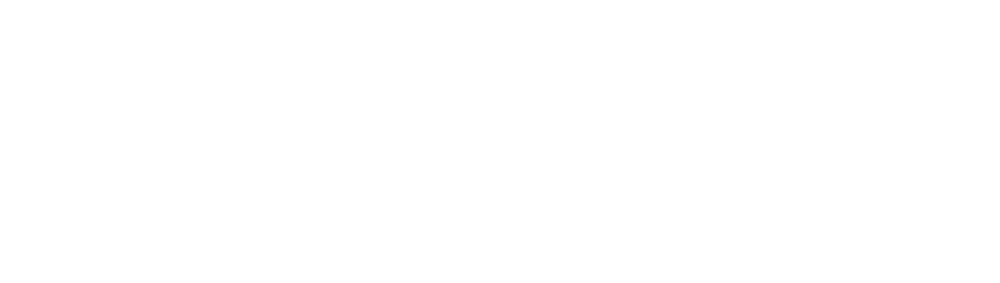 Concera White Logo